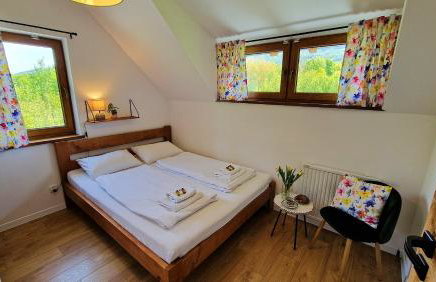 Widokowo - Domki z widokiem na Śnieżkę z Jacuzzi i Sauną - Photo 17