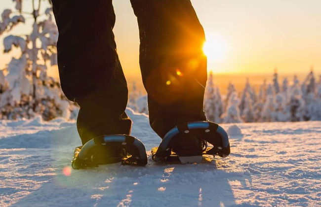 Ylläsjärvi Snowshoeing Tour - Foto 1