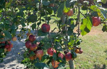 VILLA OLIMAR - Foto 22