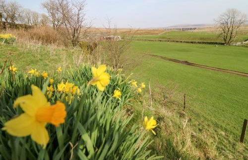 Netherscar - Foto 27