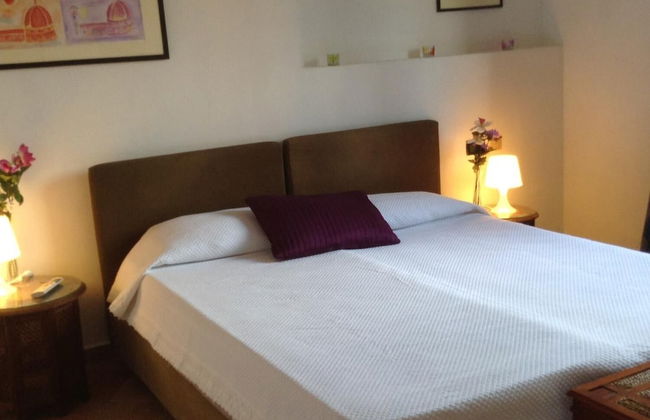 Vellutini Number One - Foto 12