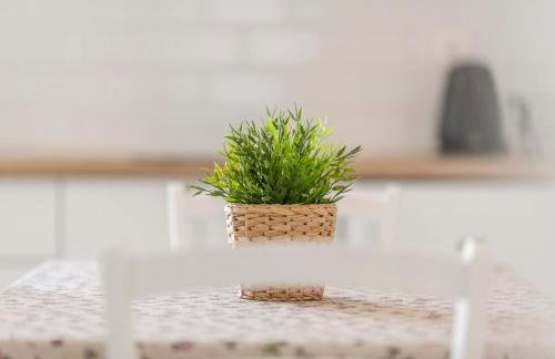 Apartmani Mariela - Photo 49