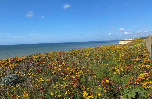 Cairo House - Foto 19