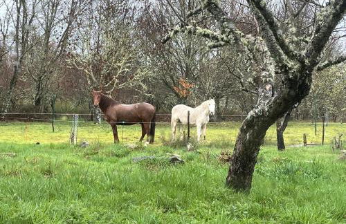 Casa Prada en Sanabria - Foto 41