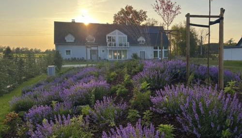 Großzügiges Landhaus mit Pool & Kamin - ideal zwischen Leipzig und Dresden - Spacious Country House with Pool near Leipzig & Dresden - Foto 3