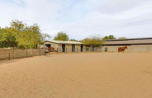 Horsey Hideaway Ranch House in Cave Creek! - Photo 39