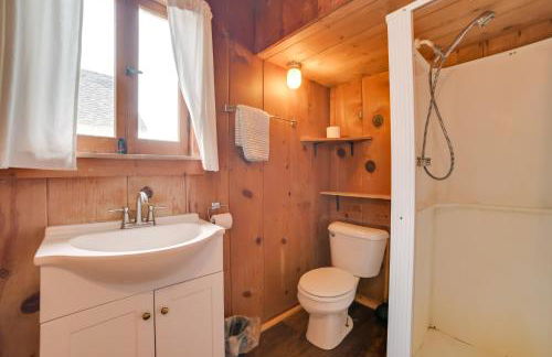 Dock Access and Grill! Resort Cabin 9 in Cedarville - Photo 11