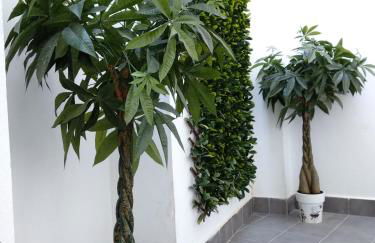 Caleta Homes - Apartamentos Pompidou - Photo 86