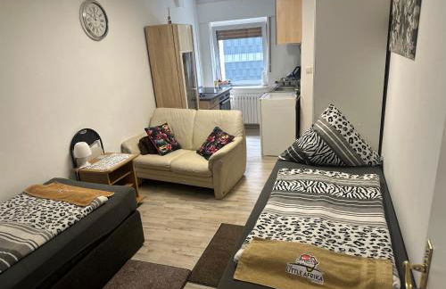 Ferien & Monteur Wohnung 1 - Little Afrika Extensive 5 Zimmer Wohnung - Foto 23