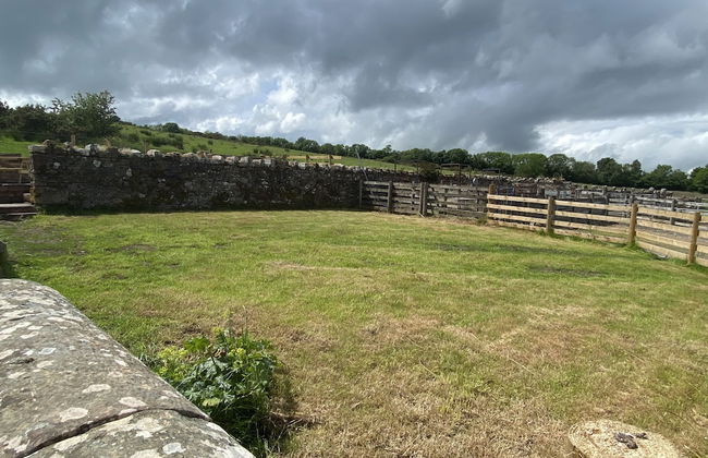 Rattlebeck Farm Holiday Cottage - Foto 29