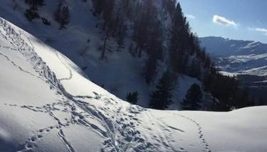 Accogliente casa in montagna - Foto 2