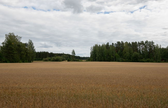 Virtaan väentupa - Foto 16