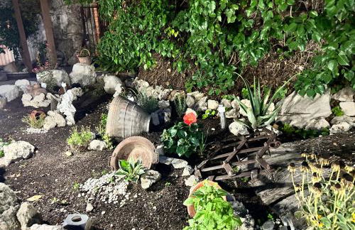 La Cija Olmedo - Foto 55