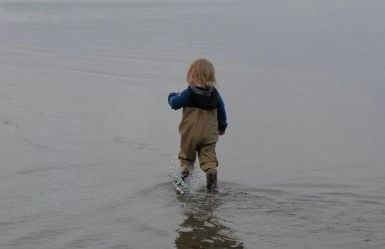 Spatzenhecke - Foto 7