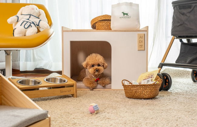 Somerset Jeju Shinhwa World - Foto 24