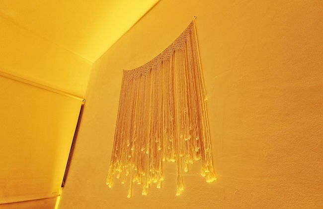 Citrus Studio By Paradox - Foto 3