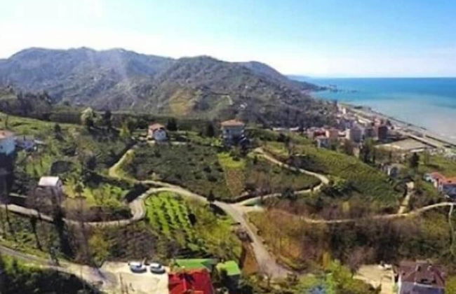 Caca Bungalow & Apart - Photo 6