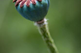 Ferienhof Am Holderbusch - Foto 18