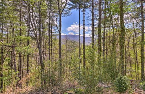 Hot Tub, Fire Pit Waynesville Getaway Near Hiking - Foto 41