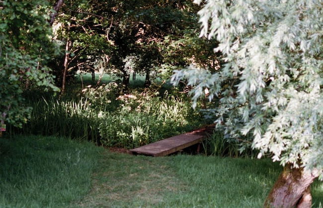 Off-grid Cork Cabin With It's Own Island - Foto 17