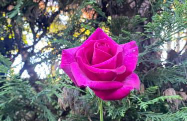 Quinta de Ribas - Foto 59