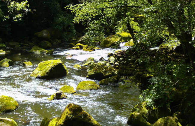 Olsdorf Forestview Apartment - Photo 35