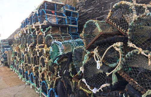 Helens Lybster cosy cottage on NC500 - Foto 28