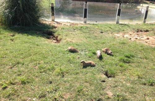 Apartamento Turistico Cigüeña de Arguedas - Foto 23