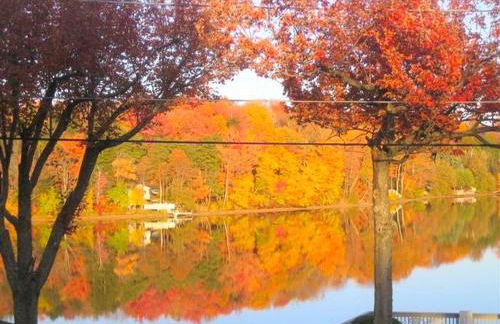 Peaceful Private Cabin on Crystal Lake near Elk Mountain, Pennsylvania - Foto 18