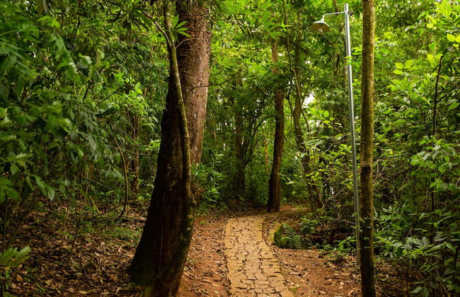 Yellow Village - Foto 42