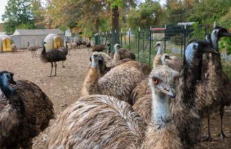 Bucks County Home Farm Philadelphia Dog Friendly - Foto 55