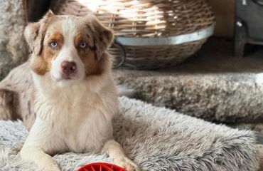 Kitts Cottage, Redruth, Cosy Cornish Retreat - Photo 11