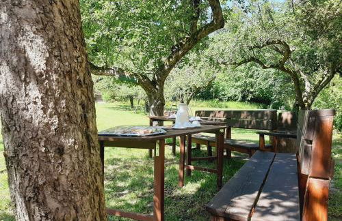 Die Malche Gäste und Tagungshaus 27 - Foto 24