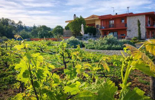 Wine & Vineyard Retreat Emarmene - Foto 59