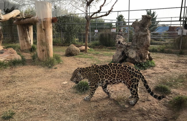 Dina's House - Foto 46