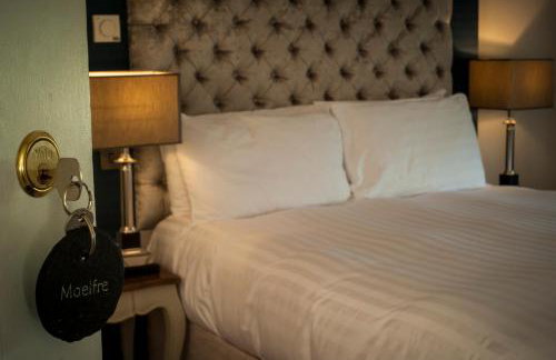 Mansion House Llansteffan - Foto 17