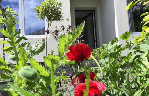 Stadtoase Koblenz - Foto 19