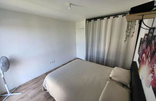 Cosy carré Haussmann, stade de franc, C D G, Paris - Foto 11