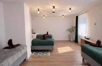 Apartamenty Nad Pilicą - Klimatyzacja - Sulejów - Foto 37