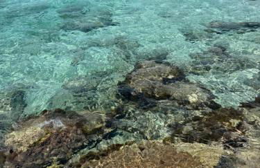 Villa Lucia appartamento Capri - Foto 35