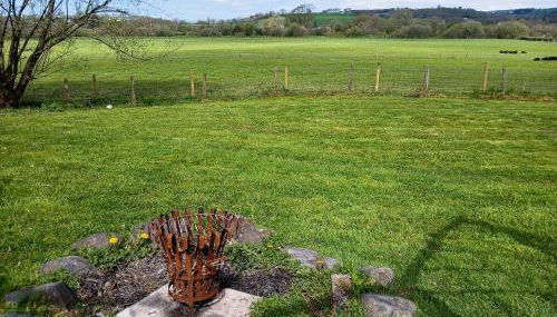 Rosie - Uk49025 - Foto 2