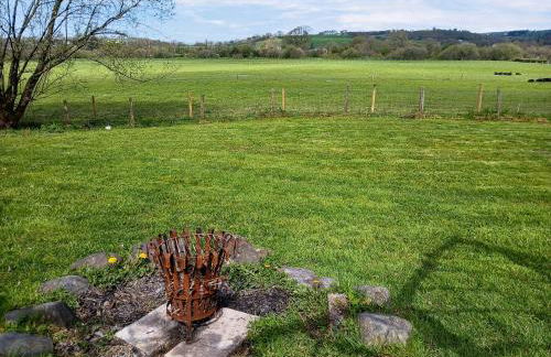 Rosie - Uk49025 - Foto 2