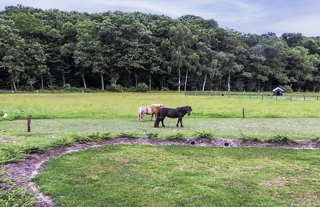 Het Landhuis - Foto 26