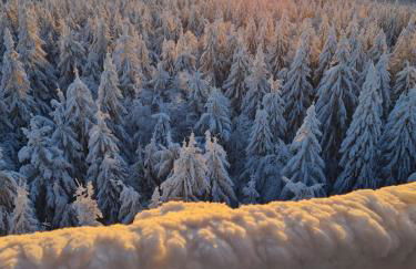 BergChaletWeitblick - Foto 43