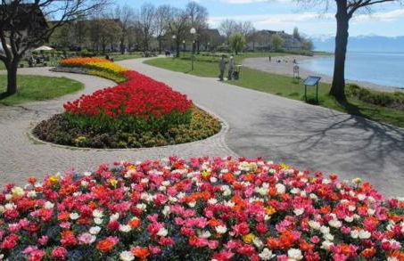 Ferienwohnung Thoma - Foto 10