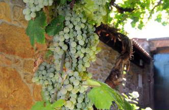 Quinta Das Escomoeiras - Foto 66