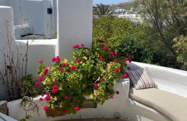 COZY CYCLADIC HOME , close to Ornos beach - Foto 34