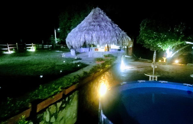 Cabin With Ocean and Forest Views - Foto 10