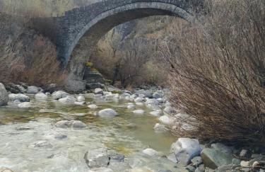 Xenonas Zagorisio - Photo 11