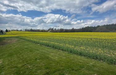 Ferienhaus Hof Schöneck in sehr ruhiger Alleinlage - Photo 11